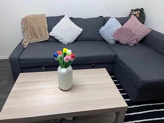 IKEA Couch for sale(FRIHETEN)