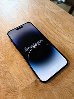 iPhone 14 Pro Max 256 GB i bra skick