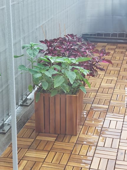 Fina blomkrukor till trädgården