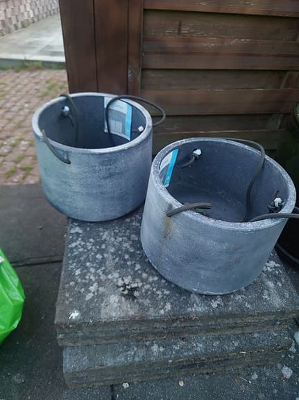 Gråa amplar