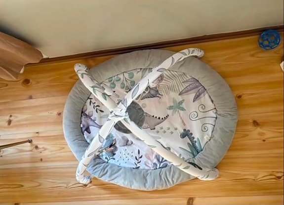 babygym dinosaurie