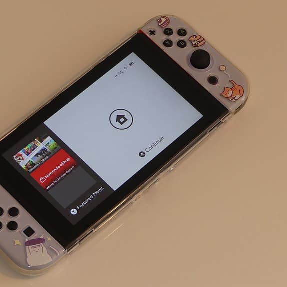 Nintendo Switch LCD med två spel