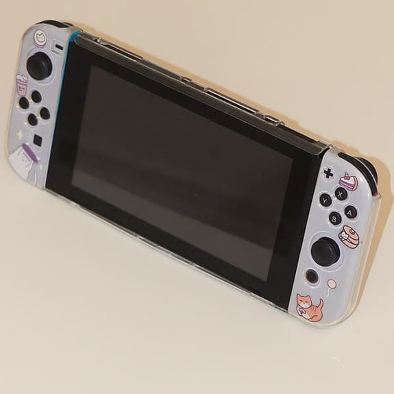 Nintendo Switch LCD med två spel