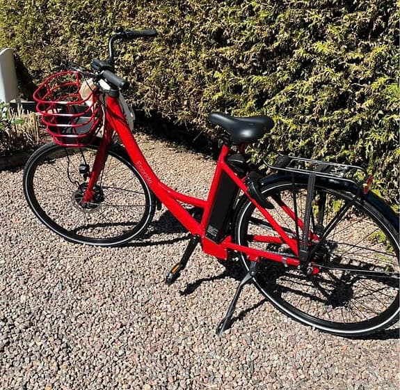 Ecoride, Ambassador 3