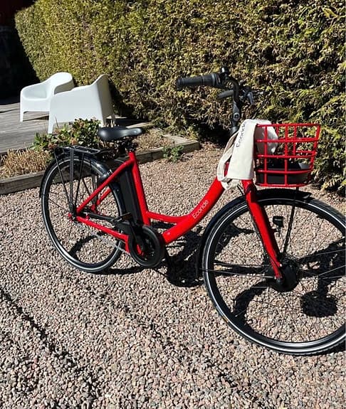 Ecoride, Ambassador 3