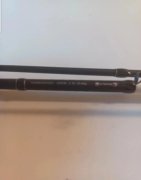 Shimano Yasei BB Pike Heavy 2,20 m 20–60 g
