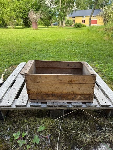 Antik trälåda i massivt trä – Vintage förvaring