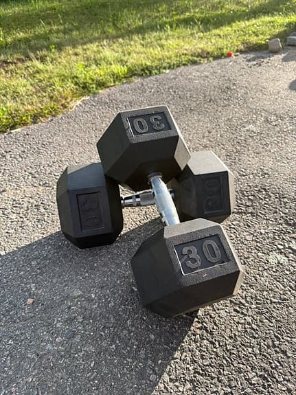 2st 30kg hantlar