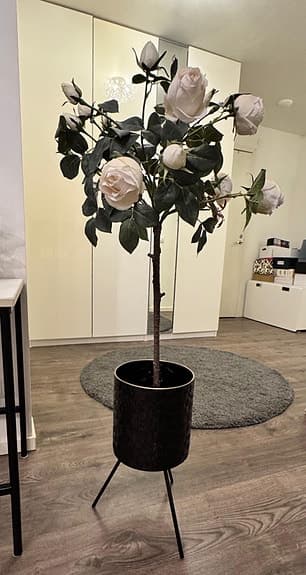 Konst blomma med lyxig kruk