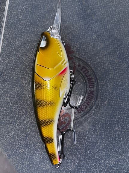 Blandade wobblers och jerkbaits för fiske
