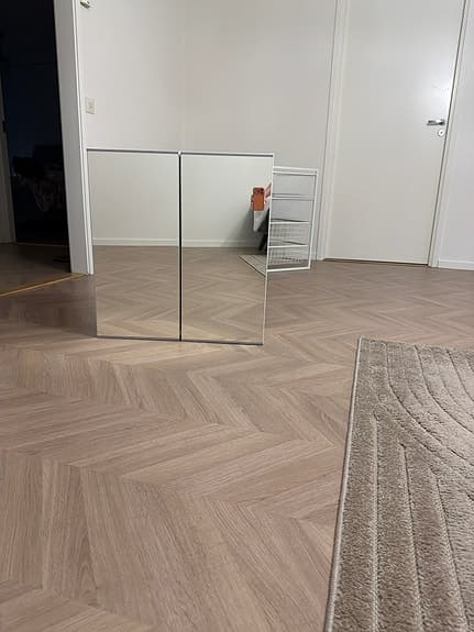 Spegel med två dörrar