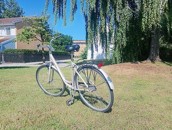 BITS Damcykel 28 tum