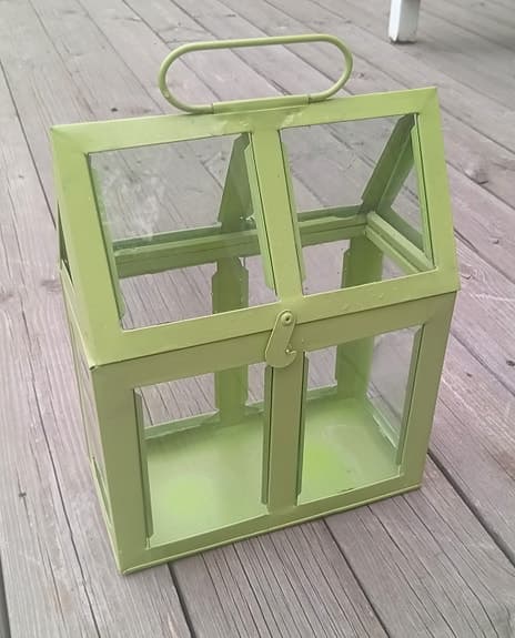 Grönt fint växthus
