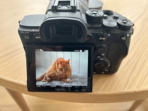 Sony A7RIV + Tamron 70-180/2.8