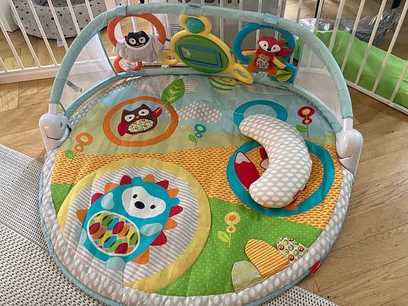 Skip hop babygym explore and more