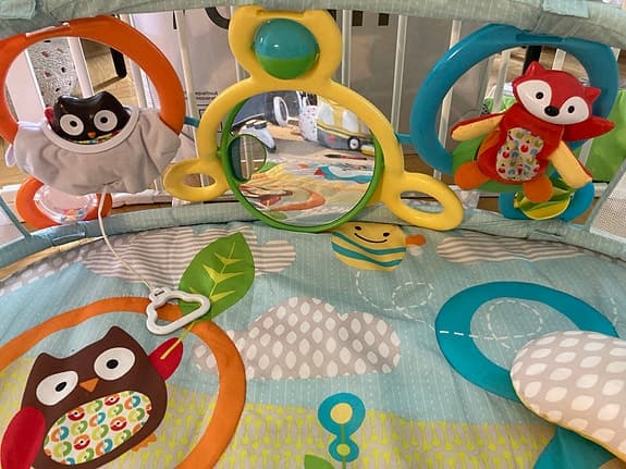 Skip hop babygym explore and more