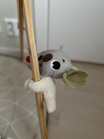 Tiny Love Babygym + bonus