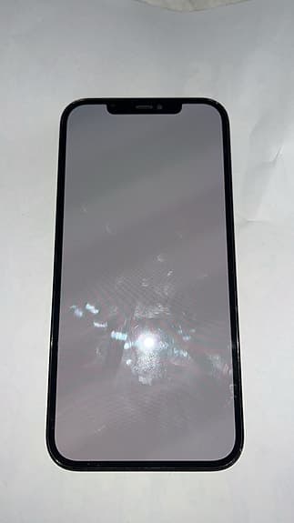 Apple iPhone 12 Pro Max