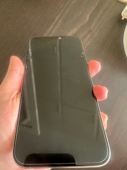Apple iPhone 15 Pro Max 256 GB silver