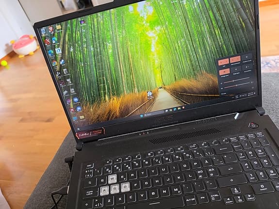 Asus TUF Gaming F17 17"