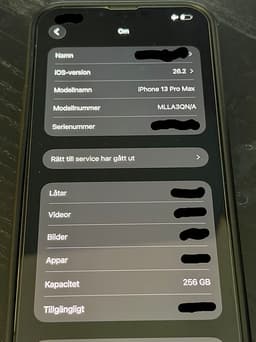 iPhone 13 Pro Max 256GB