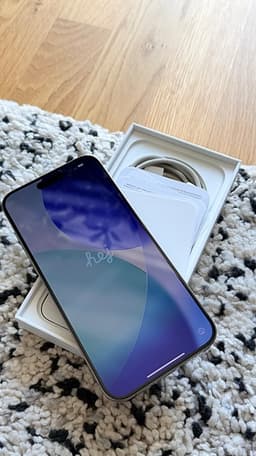 Apple iPhone 15 Pro max smartphone 256 GB silver