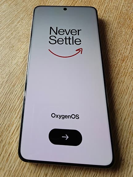 OnePlus 13