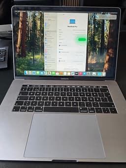 MacBook Pro 15,4tum Retina (6-Core i7 / 16GB RAM / 256GB SSD)