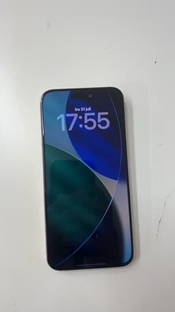 Apple iPhone 15 Pro Max 256 GB silver