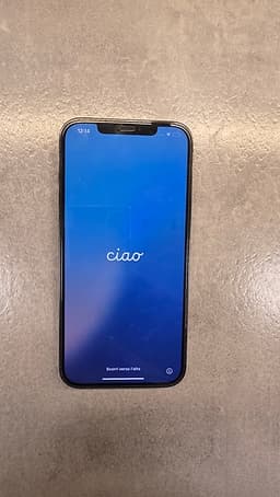 Välvårdad iPhone 12 Pro Max (Kartong, extra skärm- & linsskydd medföljer)