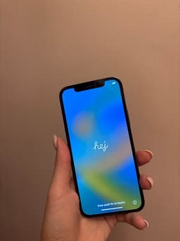 Apple iPhone 12 Pro