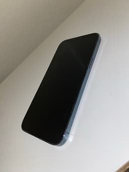 iPhone 12 Pro Max i fint skick!