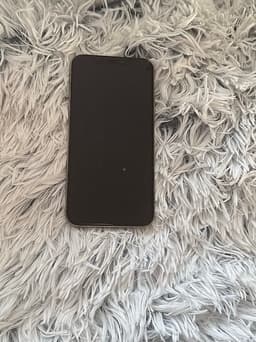 iPhone X