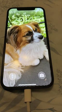 iPhone 12 64GB