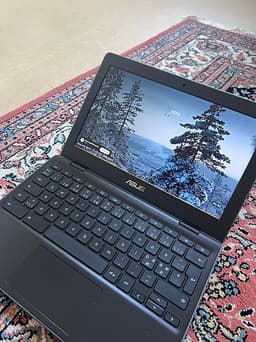 asus c204m chromebook