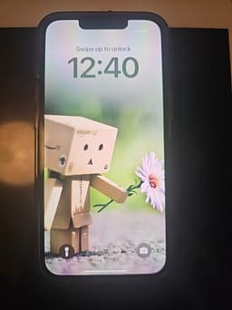 iPhone 13 Pro 256GB
