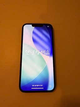 iPhone 13