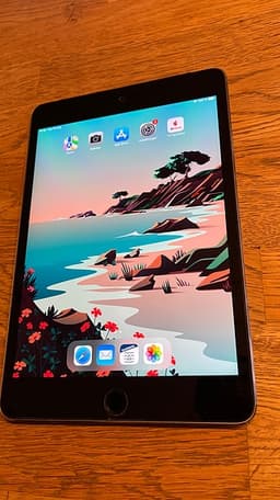 Ipad Mini 4 Wifi o cellular (4g) 32 GB i fint skick