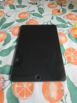 Apple iPad mini 5th gen 64GB