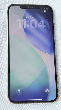 Apple iPhone 12 Pro Max 256 GB