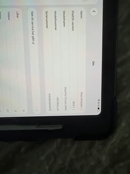 Apple iPad m4 Pro surfplatta 256 GB