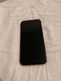 Apple iPhone 16 Pro Max 256 GB guld