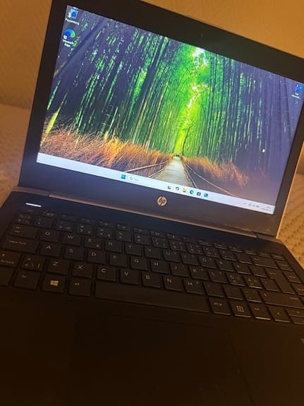 HP ProBook 450