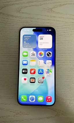 Apple iPhone 15 Pro Max 256 GB silver