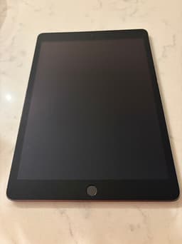 Apple iPad surfplatta 64 GB grå