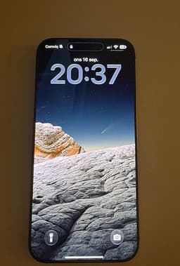 Apple iPhone 16 Pro Max 256 GB grå