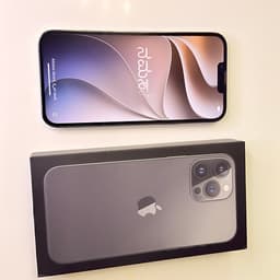 iPhone 13 Pro Max 512GB – Batterihälsa 100%