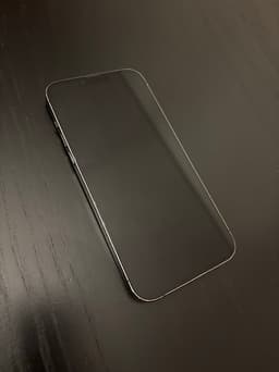 Apple iPhone 13 Pro Max 256 GB