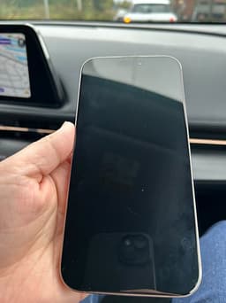 Apple iPhone 16 Pro Max 256 GB guld