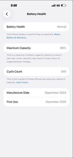 iPhone 16 Pro Max 256GB - Mycket gott skick
